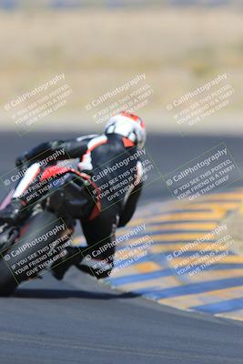 media/May-13-2023-SoCal Trackdays (Sat) [[8a473a8fd1]]/Turn 11 Backside (945am)/